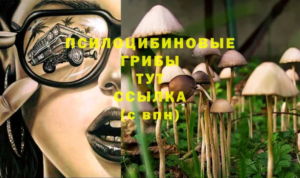 соль ск Мегион