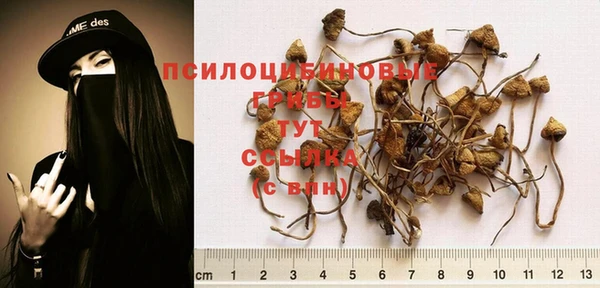 дмт Магадан