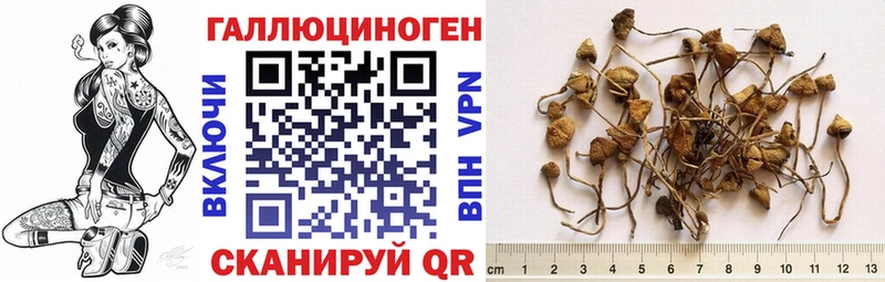 наркота Арзамас Галлюциногенные грибы ЛСД
